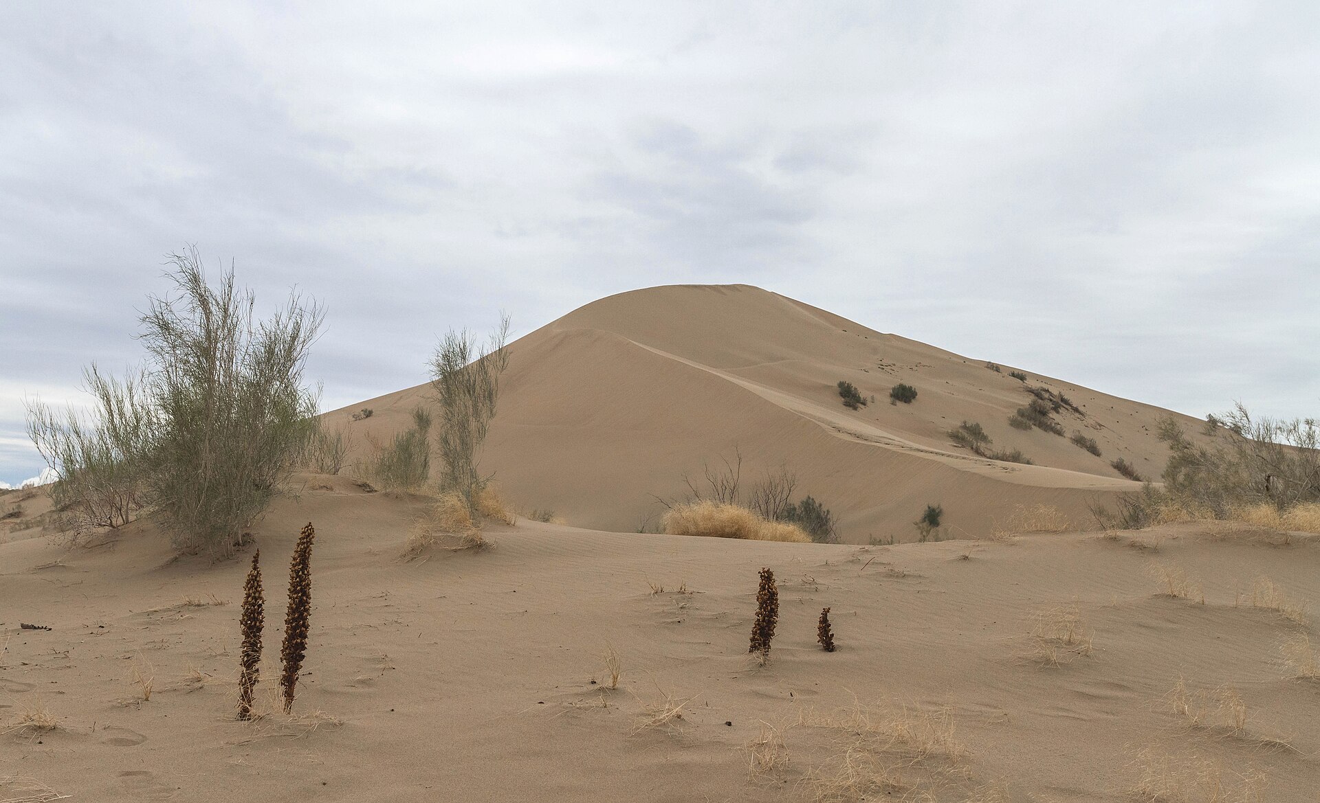 Singing Dunes